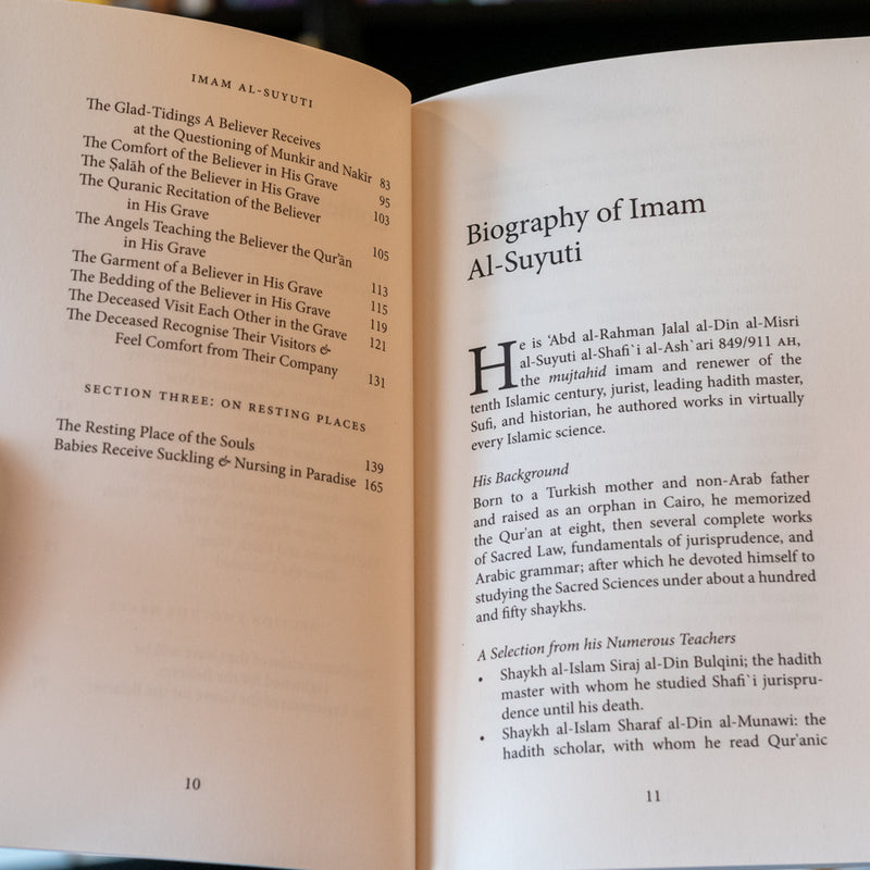 Healing After Loss: Consoling the Bereaved