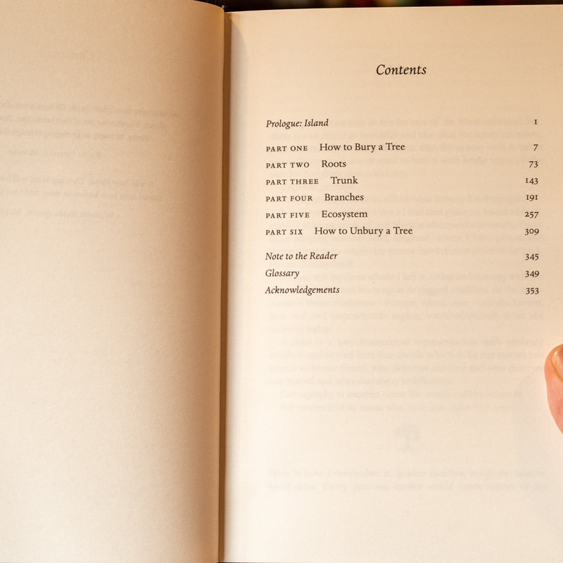 The Island of Missing Trees