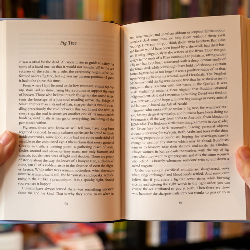 The Island of Missing Trees