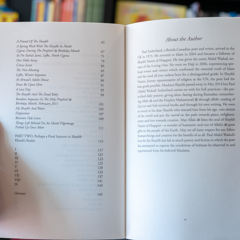 Servant of the Loving One