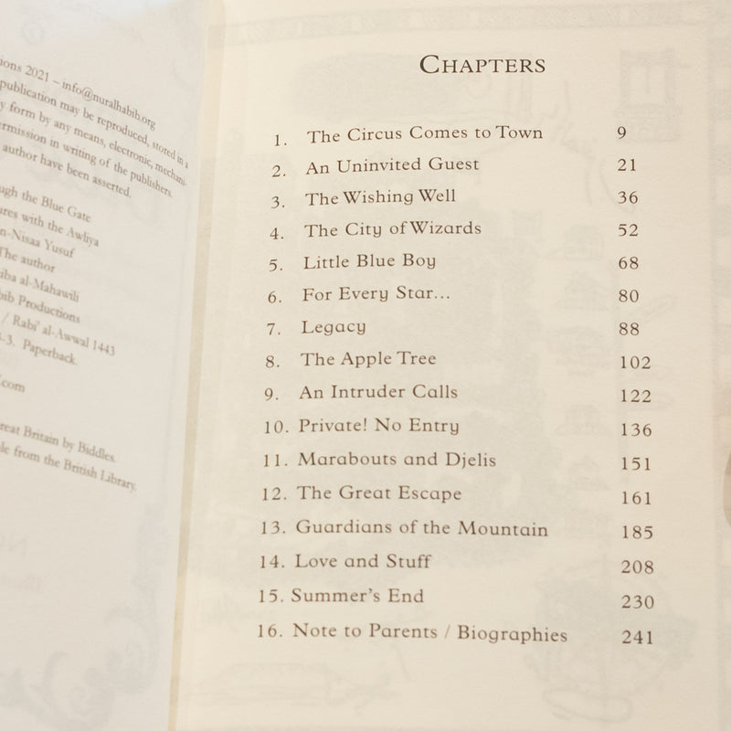 Through the Blue Gate: Adventures with the Awliya 2