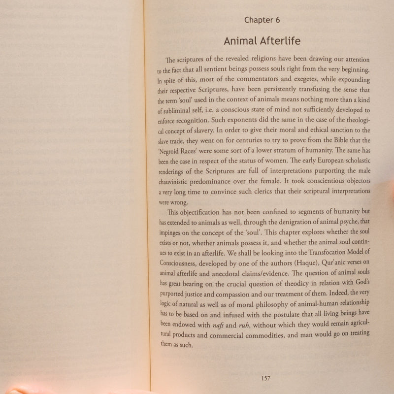 Ecolibrium: The Sacred Balance in Islam