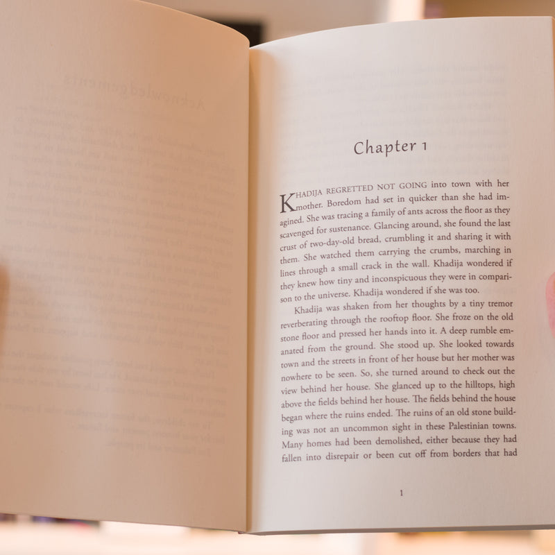 The Land Beneath the Light