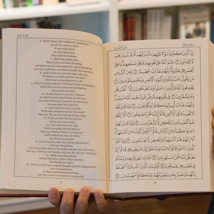 The Quran Beheld: An English Translation from the Arabic