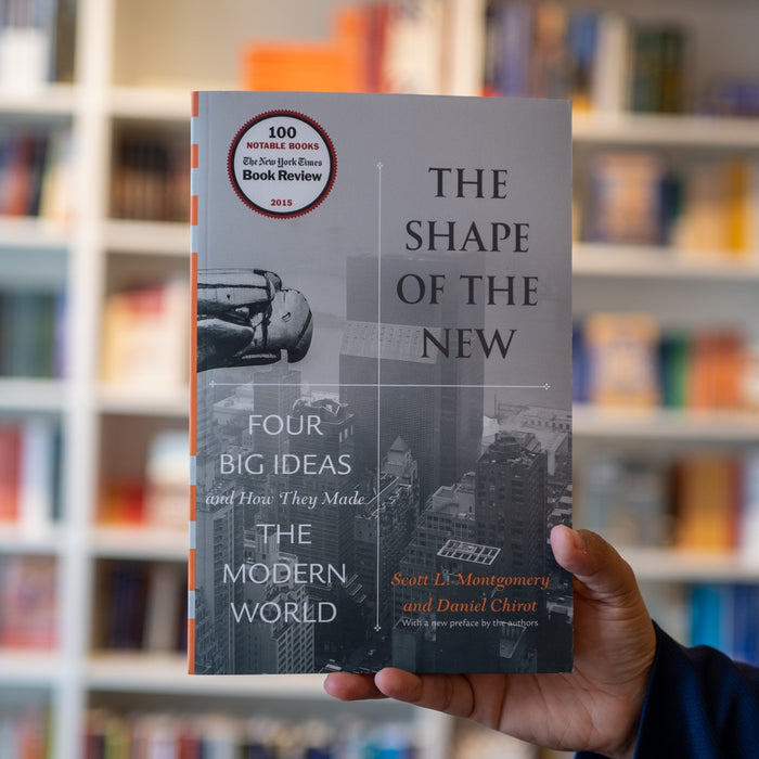 Shape of the New: Four Big Ideas and How They Made the Modern World