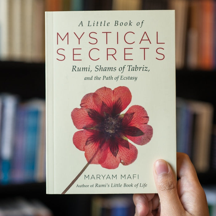 A Little Book of Mystical Secrets