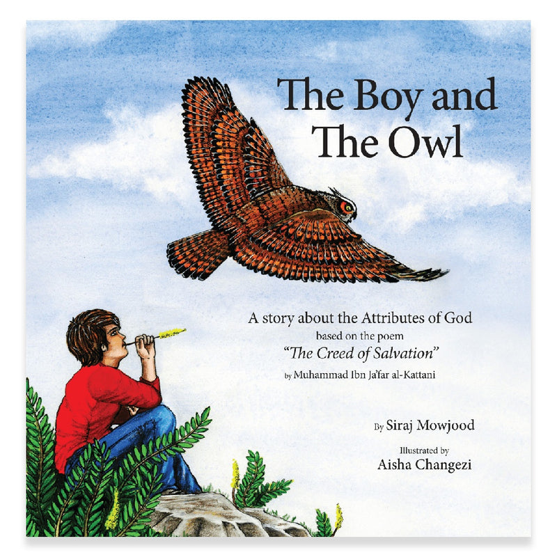 Boy and the Owl