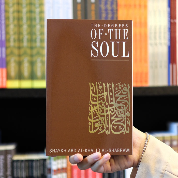 Degrees of the Soul: Spiritual Stations on the Sufi Path