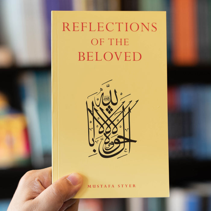 Reflections of the Beloved